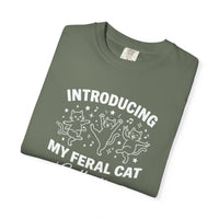 Load image into Gallery viewer, Introducing My Feral Cat Collection