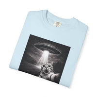 Load image into Gallery viewer, UFO Cat