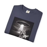 Load image into Gallery viewer, UFO Cat