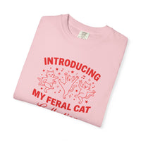 Load image into Gallery viewer, Introducing My Feral Cat Collection