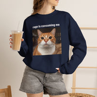 Load image into Gallery viewer, Rage Is Consuming Me Funny Orange Cat Sweatshirt