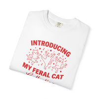 Load image into Gallery viewer, Introducing My Feral Cat Collection