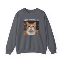 Load image into Gallery viewer, Rage Is Consuming Me Funny Orange Cat Sweatshirt