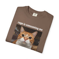 Load image into Gallery viewer, Rage is Consuming Me