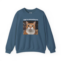 Load image into Gallery viewer, Rage Is Consuming Me Funny Orange Cat Sweatshirt