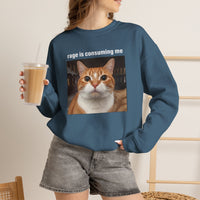 Load image into Gallery viewer, Rage Is Consuming Me Funny Orange Cat Sweatshirt