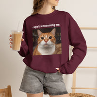 Load image into Gallery viewer, Rage Is Consuming Me Funny Orange Cat Sweatshirt