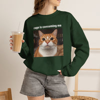 Load image into Gallery viewer, Rage Is Consuming Me Funny Orange Cat Sweatshirt