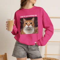 Load image into Gallery viewer, Rage Is Consuming Me Funny Orange Cat Sweatshirt