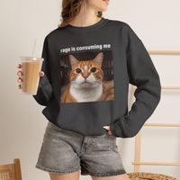 Load image into Gallery viewer, Rage Is Consuming Me Funny Orange Cat Sweatshirt
