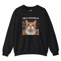 Load image into Gallery viewer, Navy sweatshirt featuring a wide-eyed orange cat with the words Rage Is Consuming Me.