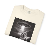 Load image into Gallery viewer, UFO Cat