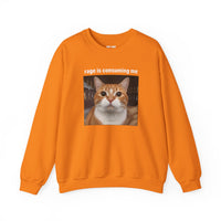 Load image into Gallery viewer, Rage Is Consuming Me Funny Orange Cat Sweatshirt