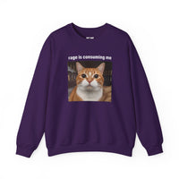 Load image into Gallery viewer, Rage Is Consuming Me Funny Orange Cat Sweatshirt