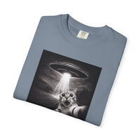 Load image into Gallery viewer, UFO Cat