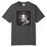 Load image into Gallery viewer, UFO Cat