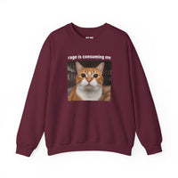 Load image into Gallery viewer, Rage Is Consuming Me Funny Orange Cat Sweatshirt