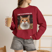 Load image into Gallery viewer, Rage Is Consuming Me Funny Orange Cat Sweatshirt