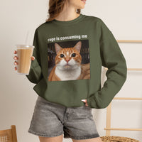 Load image into Gallery viewer, Rage Is Consuming Me Funny Orange Cat Sweatshirt