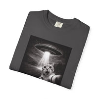 Load image into Gallery viewer, UFO Cat