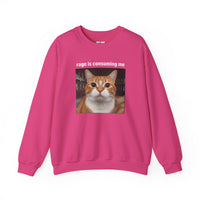 Load image into Gallery viewer, Rage Is Consuming Me Funny Orange Cat Sweatshirt