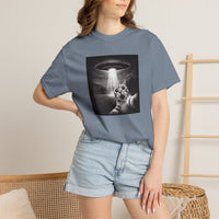 Load image into Gallery viewer, UFO Cat