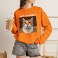 Load image into Gallery viewer, Rage Is Consuming Me Funny Orange Cat Sweatshirt