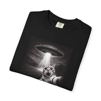 Load image into Gallery viewer, UFO Cat