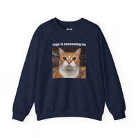 Load image into Gallery viewer, Rage Is Consuming Me Funny Orange Cat Sweatshirt
