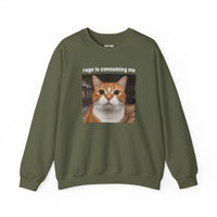 Load image into Gallery viewer, Rage Is Consuming Me Funny Orange Cat Sweatshirt