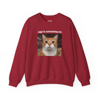 Load image into Gallery viewer, Rage Is Consuming Me Funny Orange Cat Sweatshirt