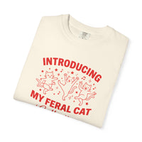 Load image into Gallery viewer, Introducing My Feral Cat Collection