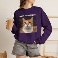 Load image into Gallery viewer, Rage Is Consuming Me Funny Orange Cat Sweatshirt
