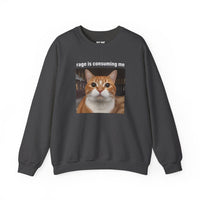 Load image into Gallery viewer, Rage Is Consuming Me Funny Orange Cat Sweatshirt