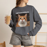 Load image into Gallery viewer, Rage Is Consuming Me Funny Orange Cat Sweatshirt
