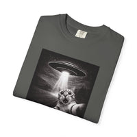 Load image into Gallery viewer, UFO Cat