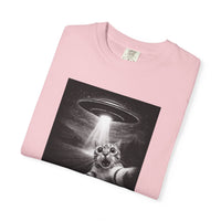 Load image into Gallery viewer, UFO Cat