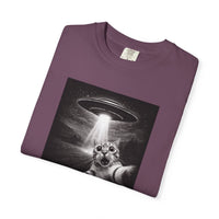 Load image into Gallery viewer, UFO Cat