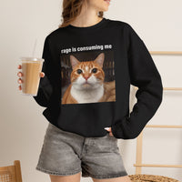 Load image into Gallery viewer, Rage Is Consuming Me Funny Orange Cat Sweatshirt
