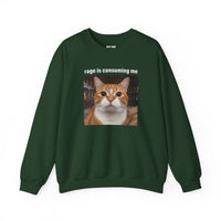 Load image into Gallery viewer, Rage Is Consuming Me Funny Orange Cat Sweatshirt