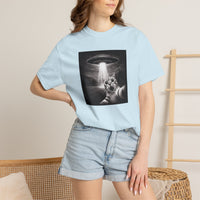 Load image into Gallery viewer, UFO Cat
