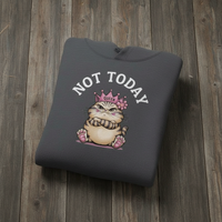 Load image into Gallery viewer, Not Today! Grumpy Cat - Hoodie &amp; Shirt